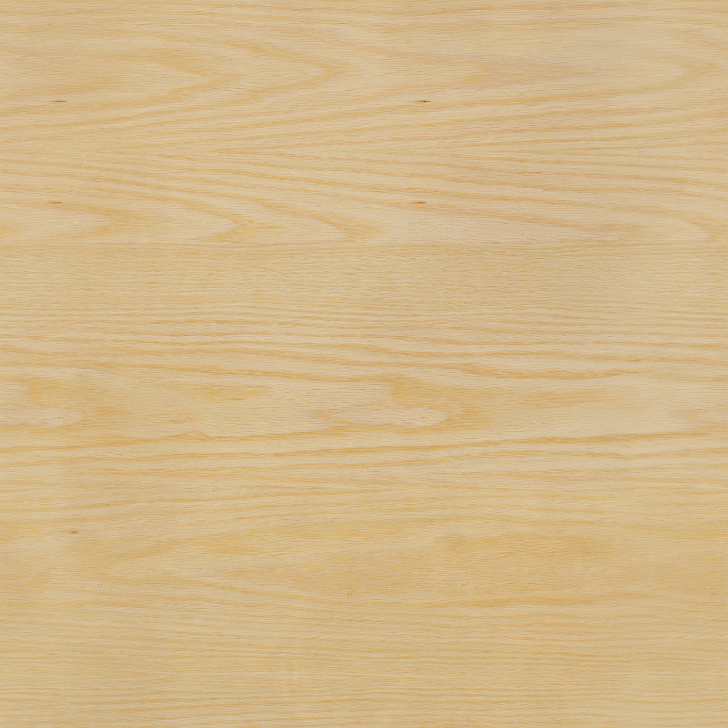 Legno chiaro|x1